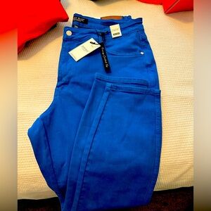 NWT Judy Blue Colbalt Blue Sz 20W Skinny Jeans